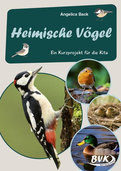 Heimische Vögel