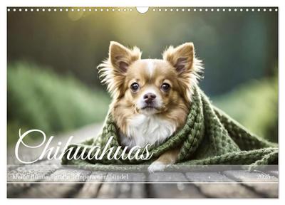 Chihuahuas - Kleine Hunde - große Temperamentbündel (Wandkalender 2025 DIN A3 quer), CALVENDO Monatskalender