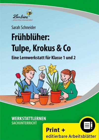 Frühblüher: Tulpe, Krokus & Co