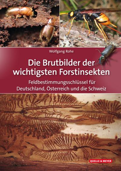 Die Brutbilder der wichtigsten Forstinsekten