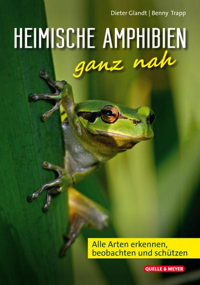 Heimische Amphibien ganz nah