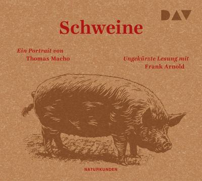 Schweine. Ein Portrait