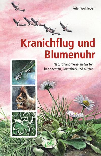 Kranichflug und Blumenuhr