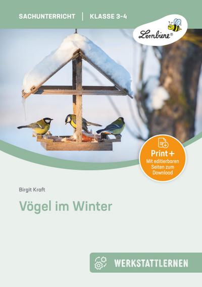 Vögel im Winter