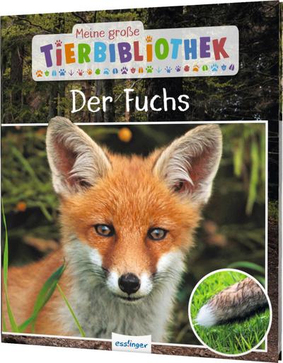 Meine große Tierbibliothek: Der Fuchs