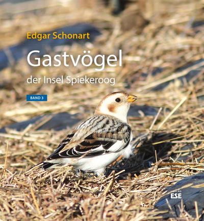 Gastvögel der Insel Spiekeroog