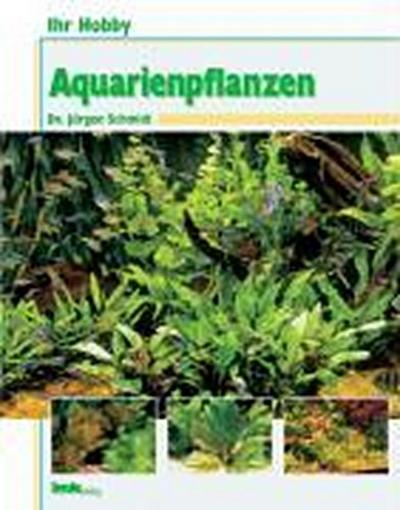 Ihr Hobby Aquarienpflanzen