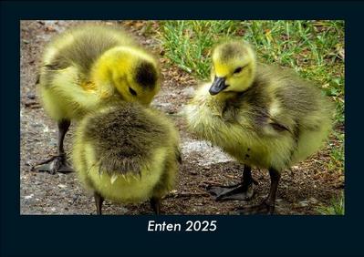 Enten 2025 Fotokalender DIN A5