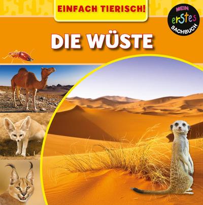 Die Wüste