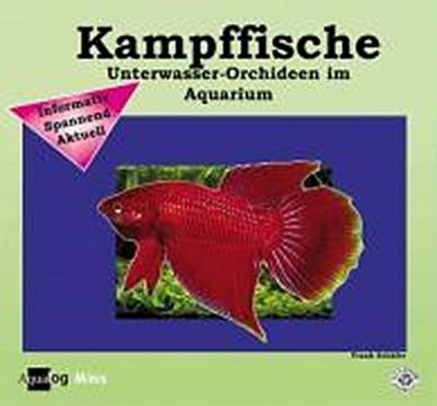 Kampffische