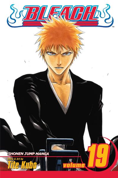 Bleach, Vol. 19