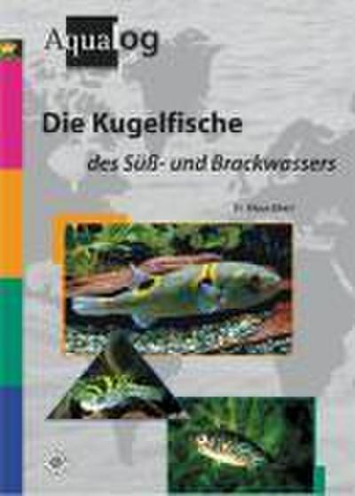 Die Kugelfische des Süß- und Brackwassers