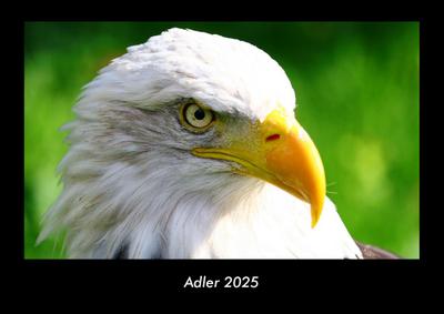 Adler 2025 Fotokalender DIN A3